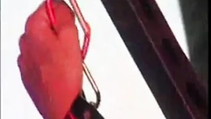 Nina hartley - ne kadar alabilir