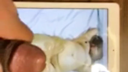 Haraç ........ ......... ........ ........ ........shree