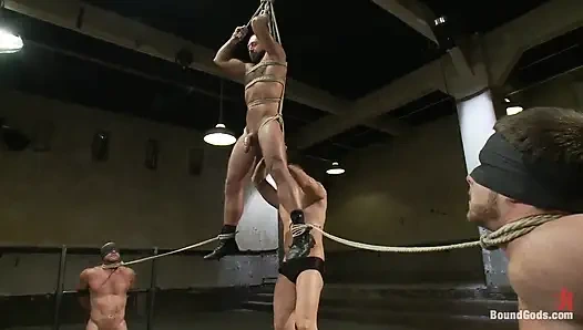 Tek kuyruklu, elektrik ve süspansiyon - canlı çekim