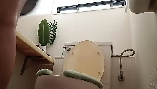 Various toilet scenes