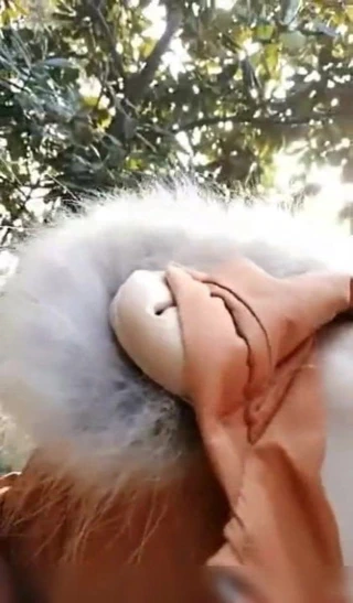 Ayakkabın sikime bastı