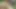 Lucy Thai anal seks ve çifte penetrasyon içeren açık havada üçlü grup seks fotoğraf çekimine katılıyor