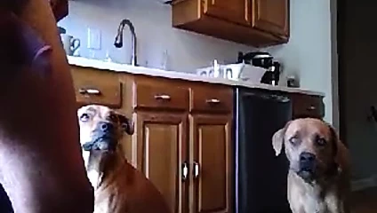 Dilf duşta eğleniyor