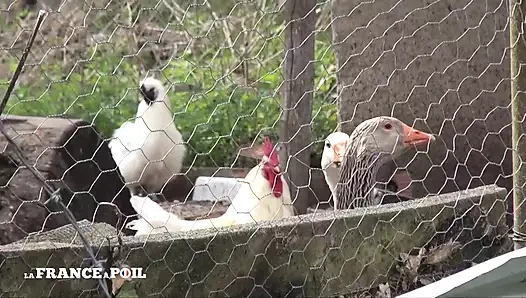 Olgun burjuva sert anal açık havada jartiyer tarafından sikiliyor