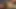 Yaramaz üniversiteli kız Dillion Harper öğretmen tarafından sert sikiliyor
