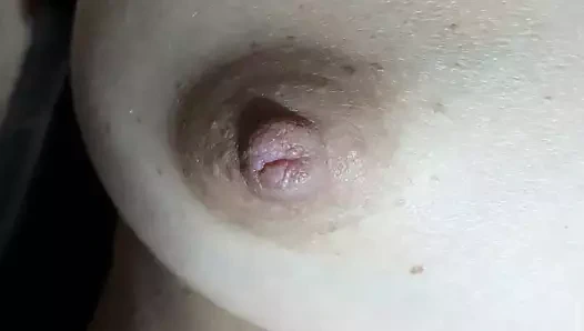 Kahrolası benim sıcak sulu kedi isteyen horoz