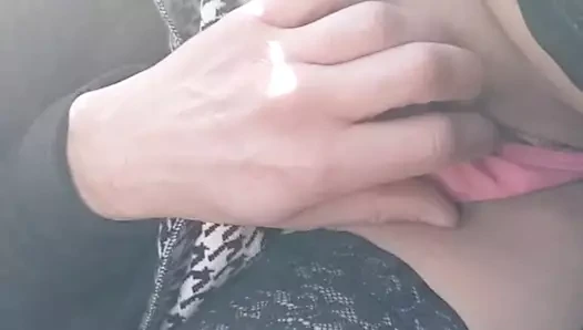 park parmaklı KEDİ maruz