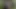 Sürtük yarağı derinden sikiyor #2