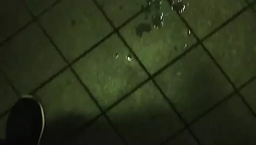 Döl üzerine boşalma