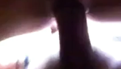 Doggy 2