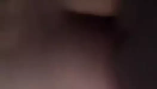 Malay - köpek yakın çekim