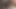 Büyük dildo ile fışkırtmalı akşam!