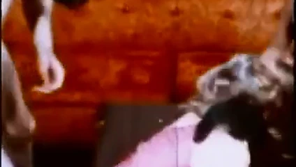 zencefil am aşağılama oturum