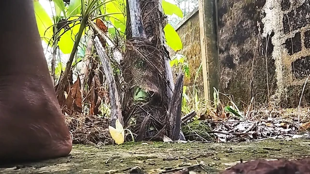 Banyo Lavabosu Için Parmaklar Çapraz.