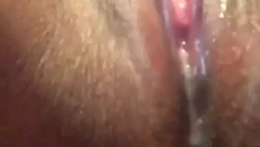 oynama ile ona ıslak KEDİ