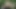 Sevimli esmer oral seksten sonra anal seks yapıyor