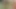 Aiza, sarkık sarkması üzerine pompayla uyandı