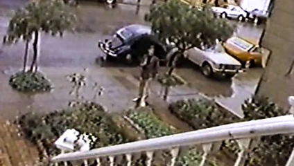 Tuhaf arzular evi (1985)