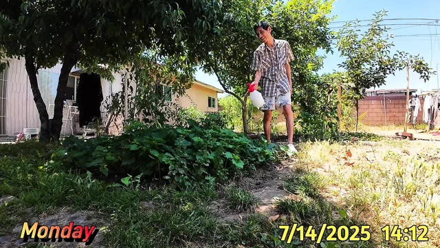 İyi vakit geçiriyor