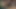 Hunt4k. avcıların cebinden çıkan para satın almak için oldukça yeterli