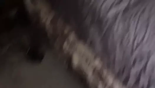 bbc benim jersey eş ırkları