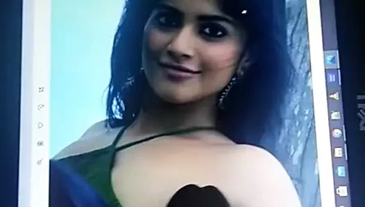Megha Akash Yummy Armpits