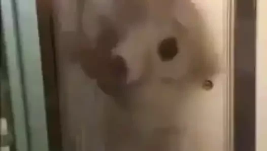 Seksi babhi üvey oğlu tarafından becerdin ... üvey anne ve oğlu sert seks yapıyor – desi mms