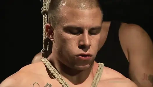 Heteroseksüel adam clover kıskaçlarını taşaklara alıyor