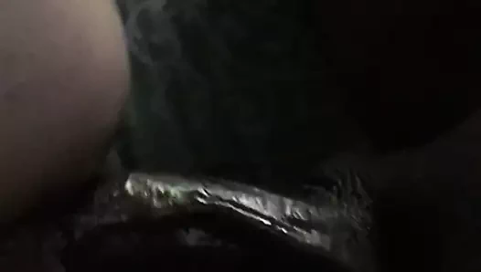 Bu kediyi seviyorum!!!