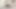 YAĞLANMıŞ IRI GÜZEL KADıN 10 INÇLIK DILDODA ZıPLıYOR VE SERT BOŞALıYOR
