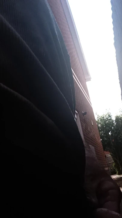Serin bir günde açık havada yumuşak yarak