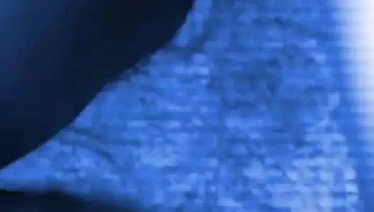 ırklararası köpek