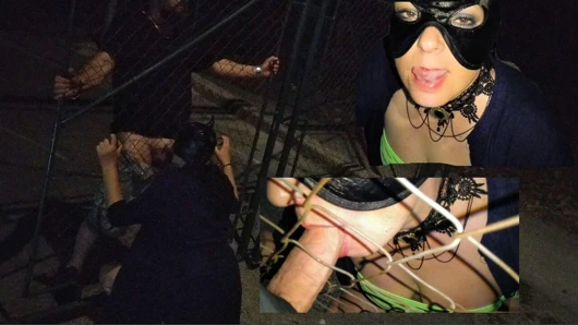 Domuz emiyor açık havada şişman yarak emiyor