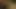 Üç adam izle bir kız onu kedi tıraş