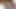 benim hanımları şişman KEDİ