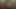 Ein Fick in die Zukunft (Love Video)