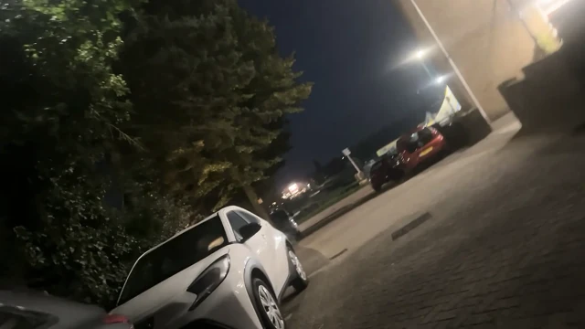 Dışarıda aletini dışarı çıkararak yürümek