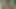 eski dudes sikikleri genç kızlar boğaz