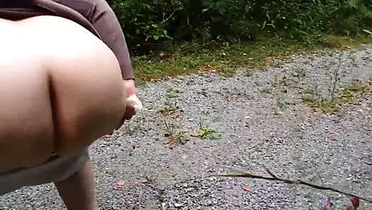 Promenade dans les bois