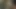 klasik dörtlü