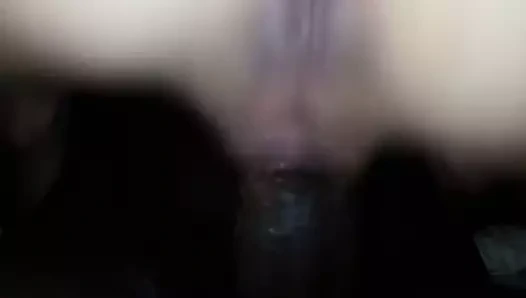 siyah derin içinde benim hanımları KEDİ