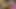 Tamil Clear Audio Bed Room Sex With Moaning and Vibrator Part 1