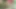 Ateşli olgun desi Hintli derin anal zevk