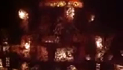 Danid ve büyük zenci