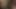 Versaute Biester