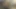 Seksi büyük götlü dövmeli esmer üçlü grup sekste sikiliyor