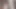 Melove yapraklarda kırmızı ayak tırnaklı seksi küçük ayaklar