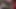 Yayıncı kız dildoyla amını sikiyor