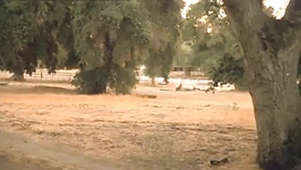 Gabrielle anwar - 9 onda