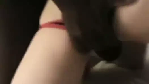 Blig siyah baba horoz eyersiz sıkı beyaz oğlan